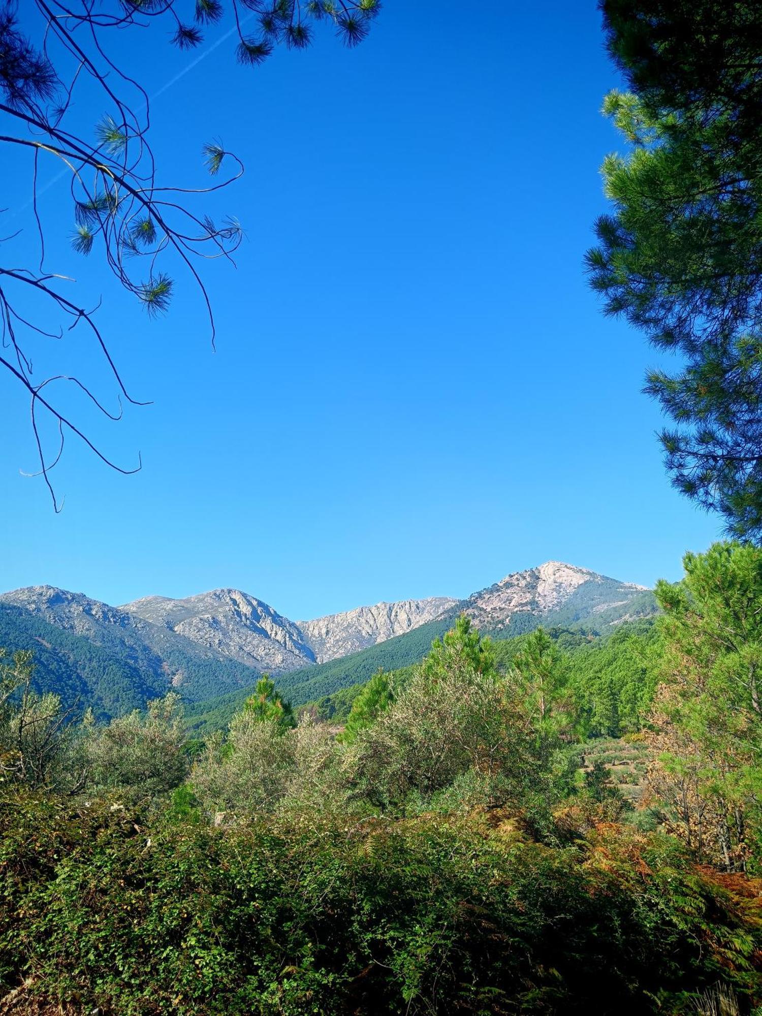 Estrellas De Gredos Arenas de San Pedro Dış mekan fotoğraf